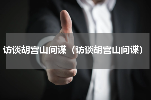 访谈胡宫山间谍（访谈胡宫山间谍）