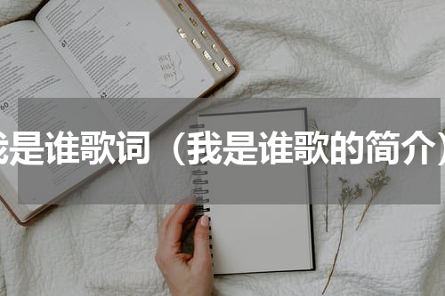 我是谁歌词（我是谁歌的简介）