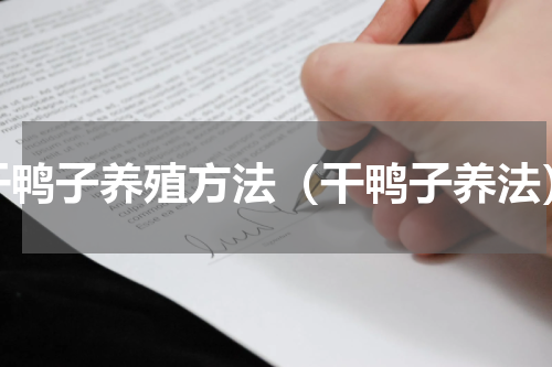 干鸭子养殖方法（干鸭子养法）