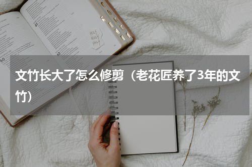 文竹长大了怎么修剪（老花匠养了3年的文竹）