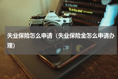 失业保险怎么申请（失业保险金怎么申请办理）