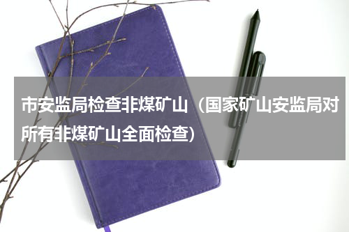 市安监局检查非煤矿山（国家矿山安监局对所有非煤矿山全面检查）