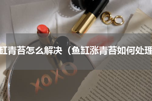鱼缸青苔怎么解决（鱼缸涨青苔如何处理）