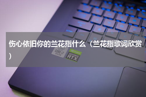 伤心依旧你的兰花指什么（兰花指歌词欣赏）