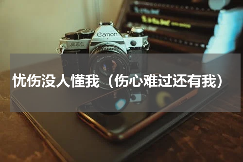 忧伤没人懂我（伤心难过还有我）