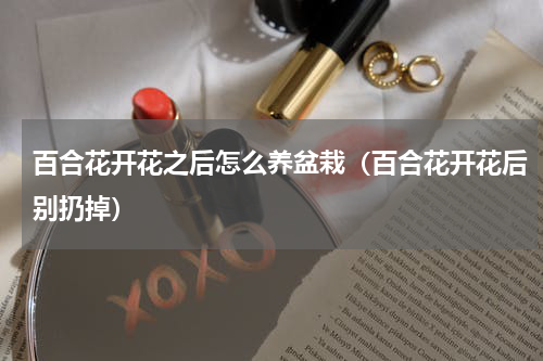 百合花开花之后怎么养盆栽（百合花开花后别扔掉）