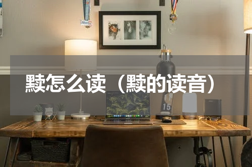 黩怎么读（黩的读音）
