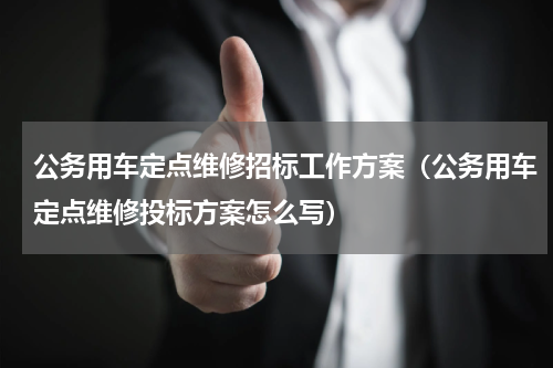 公务用车定点维修招标工作方案（公务用车定点维修投标方案怎么写）