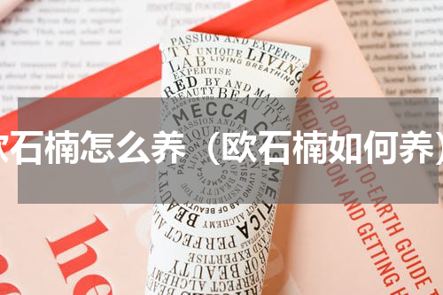 欧石楠怎么养（欧石楠如何养）