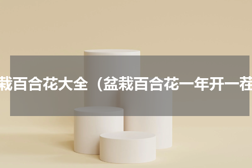 盆栽百合花大全（盆栽百合花一年开一茬）