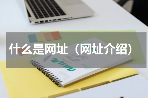 什么是网址（网址介绍）