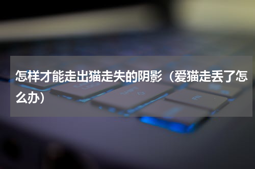 怎样才能走出猫走失的阴影（爱猫走丢了怎么办）
