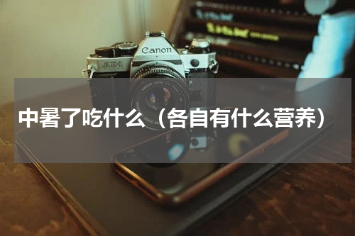 中暑了吃什么（各自有什么营养）