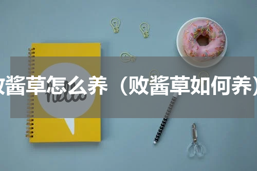 败酱草怎么养（败酱草如何养）