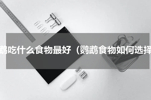 鹦鹉吃什么食物最好（鹦鹉食物如何选择）