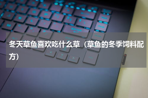 冬天草鱼喜欢吃什么草（草鱼的冬季饲料配方）