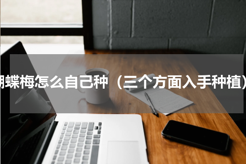 蝴蝶梅怎么自己种（三个方面入手种植）