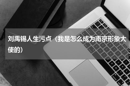刘禹锡人生污点（我是怎么成为南京形象大使的）