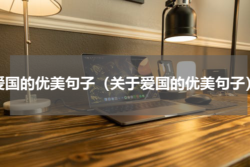 爱国的优美句子（关于爱国的优美句子）