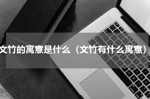 文竹的寓意是什么（文竹有什么寓意）