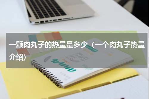 一颗肉丸子的热量是多少（一个肉丸子热量介绍）