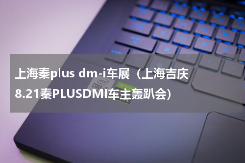 上海秦plus dm-i车展（上海吉庆8.21秦PLUSDMI车主轰趴会）