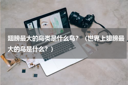 翅膀最大的鸟类是什么鸟？（世界上翅膀最大的鸟是什么？）