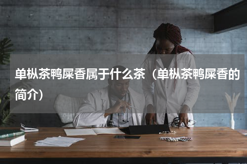 单枞茶鸭屎香属于什么茶（单枞茶鸭屎香的简介）
