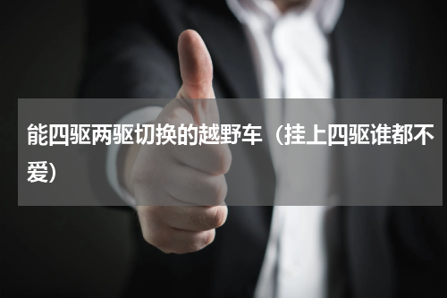 能四驱两驱切换的越野车（挂上四驱谁都不爱）