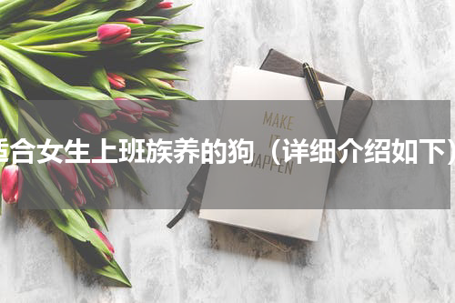 适合女生上班族养的狗（详细介绍如下）