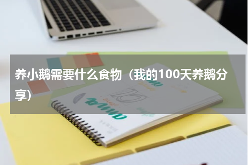 养小鹅需要什么食物（我的100天养鹅分享）