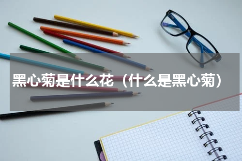黑心菊是什么花（什么是黑心菊）