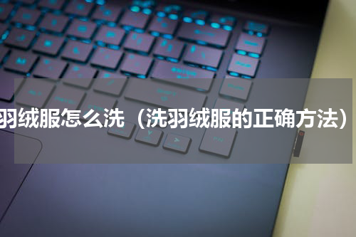 羽绒服怎么洗（洗羽绒服的正确方法）