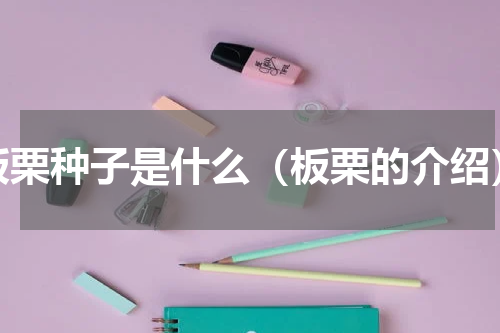板栗种子是什么（板栗的介绍）