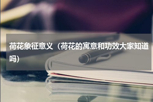 荷花象征意义（荷花的寓意和功效大家知道吗）