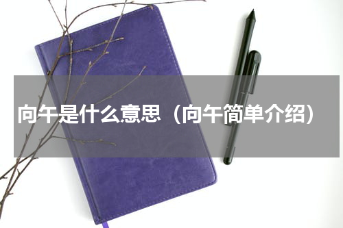 向午是什么意思（向午简单介绍）