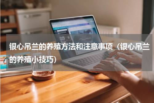 银心吊兰的养殖方法和注意事项（银心吊兰的养殖小技巧）