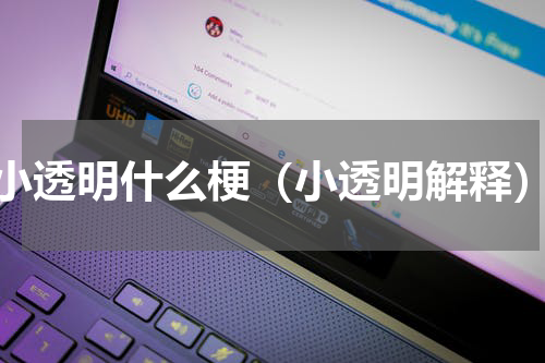 小透明什么梗（小透明解释）