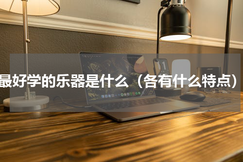 最好学的乐器是什么（各有什么特点）