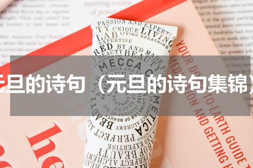 元旦的诗句（元旦的诗句集锦）