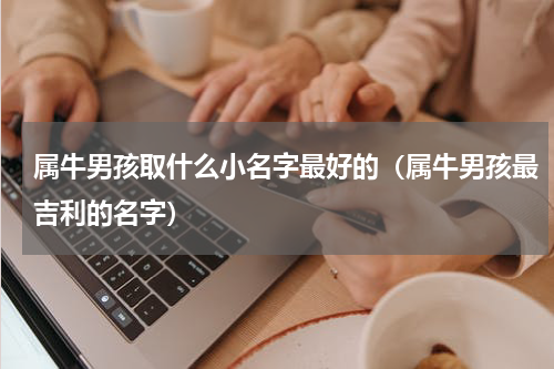 属牛男孩取什么小名字最好的（属牛男孩最吉利的名字）