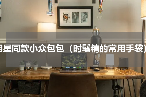 明星同款小众包包（时髦精的常用手袋）