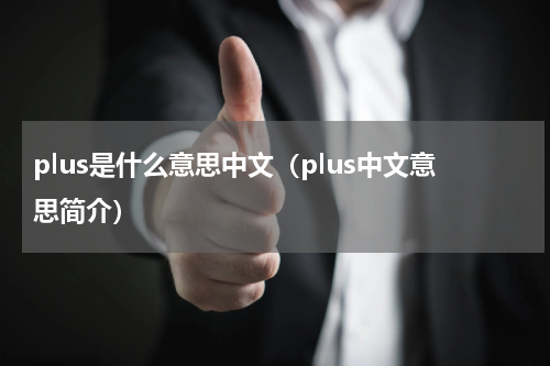 plus是什么意思中文（plus中文意思简介）