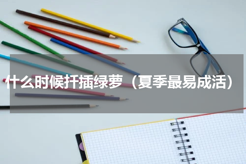 什么时候扦插绿萝（夏季最易成活）