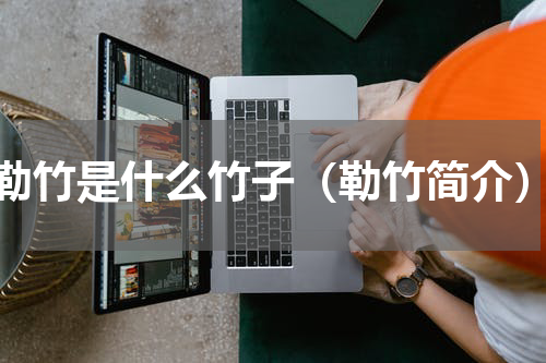 勒竹是什么竹子（勒竹简介）