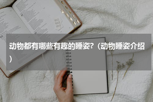 动物都有哪些有趣的睡姿?（动物睡姿介绍）