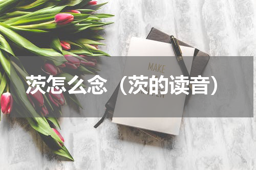 茨怎么念（茨的读音）