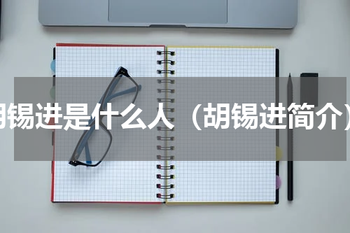 胡锡进是什么人（胡锡进简介）