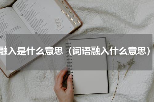 融入是什么意思（词语融入什么意思）