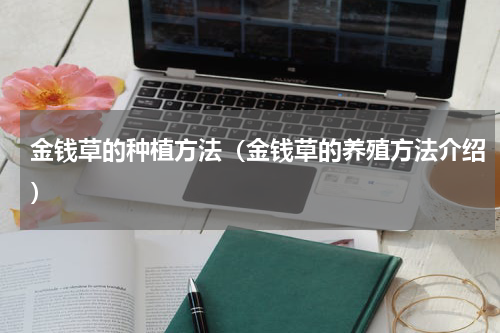 金钱草的种植方法（金钱草的养殖方法介绍）